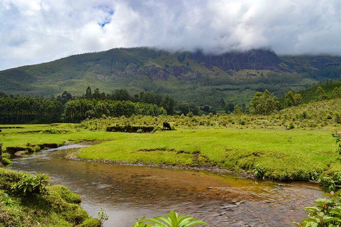 Full-Day Private Tour to Munnar from Kochi with Lunch - Final Thoughts: Who Would Love This Tour?