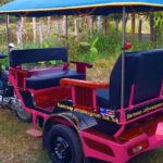 Full-Day Private Tuk Tuk Tour of Angkor Wat Temples - Who Will Love This Tour?