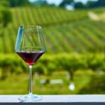 Full-Day Private Virginia Wine Tour Experience from Washington - Authentic Insights from Past Travelers