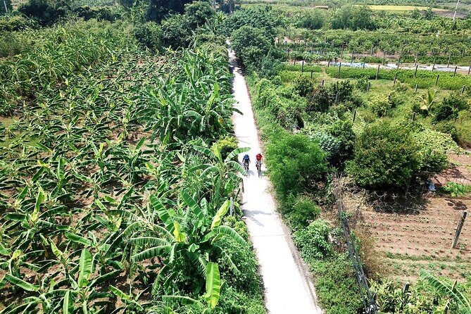 Full-Day Red River Bike Tour from Hanoi with Lunch and Pickup - An In-Depth Look at the Red River Bike Tour