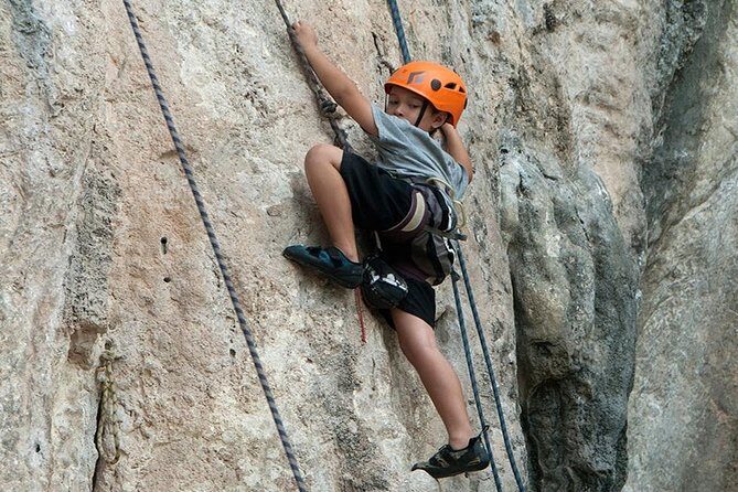 Full-Day Rock Climbing Course at Railay Beach by King Climbers from Krabi - Who Should Book This Tour?