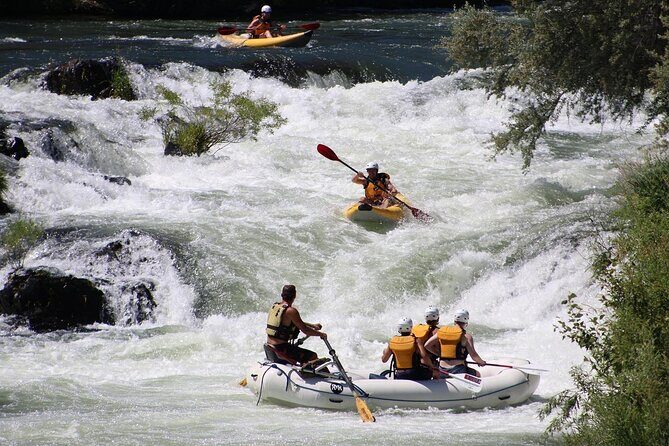 Full Day Rogue River Experience Class (I-IV) - The Sum Up: Is This the Right Adventure For You?