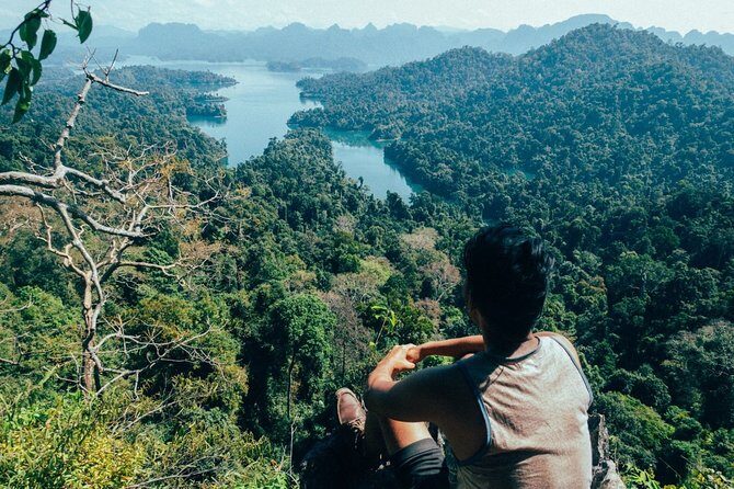 Full-Day Safari tour to Khao Sok Jungle from Phuket - Why You Should Consider This Tour
