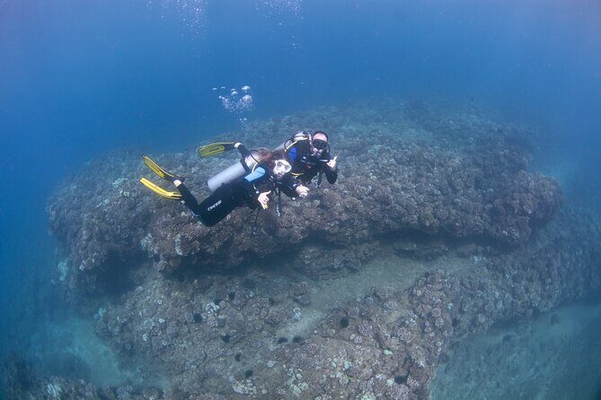 Full Day Scuba Dive Off The Na Pali Coast, Kauai-Mana Crack - Who Would Love This Tour?