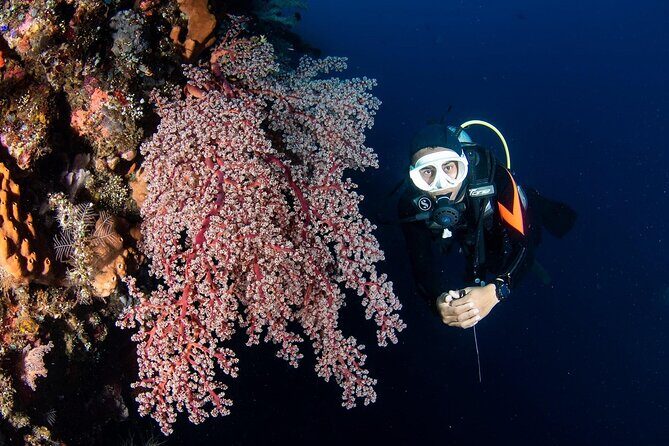 Full-Day Scuba Diving Experience of USAT Liberty in Tulamben - Discovering Tulamben’s Underwater Treasures
