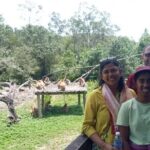 Full-Day Sepilok Orangutan and Proboscis Monkey from Sandakan or Kota Kinabalu - Introduction to the Tour Experience