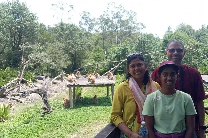 Full-Day Sepilok Orangutan and Proboscis Monkey from Sandakan or Kota Kinabalu - Introduction to the Tour Experience