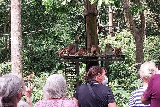 Full-Day Sepilok Orangutan and Sandakan City Trail from Kota Kinabalu - FAQs