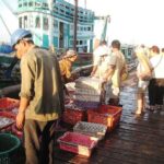 Full-Day Sihanoukville Shore Excursion - How the Tour Rates in Terms of Value