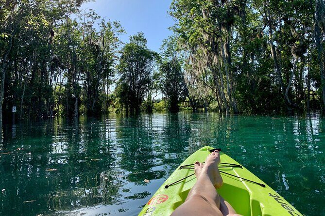 Full Day Single Kayak Rental In Crystal River - Who Would Love This Experience?