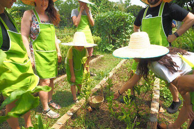 Full Day Thai Cooking at Farm (Chiang Mai) - Analyzing the Value
