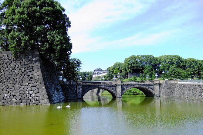 Full Day Tokyo Tour, From/To Tokyo,Yokohama, Narita, 2- 12 guests - Who Should Book This Tour?