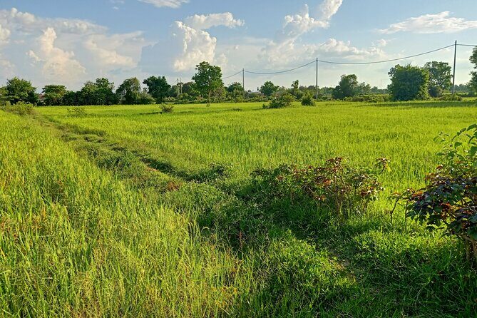 Full Day tour .City tour.Countryside.Bamboo Train.Secret Bat Cave - The Value of This Tour