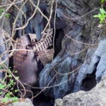 Full Day Tour from Siem Reap - Bamboo Train, Killing Cave & Sunset - Climbing Wat Banan Temple