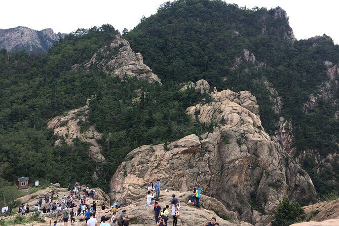 Full-Day Tour in Mt. Seorak & Nami (+Rail Bike Option) - The Authentic Touch of the Experience