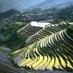 Full-day Tour: Longji Rice Terraces & Minority Villages - What We Think About the Value