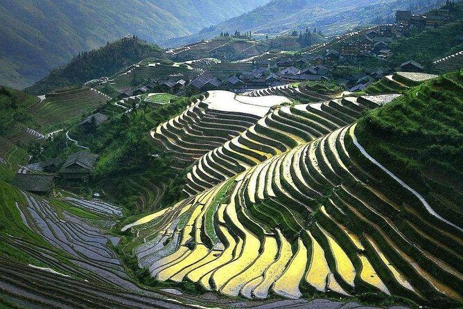 Full-day Tour: Longji Rice Terraces & Minority Villages - What We Think About the Value