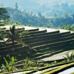 Full-Day Tour to Water Temples and UNESCO Rice Terraces in Bali - The Authentic Experience