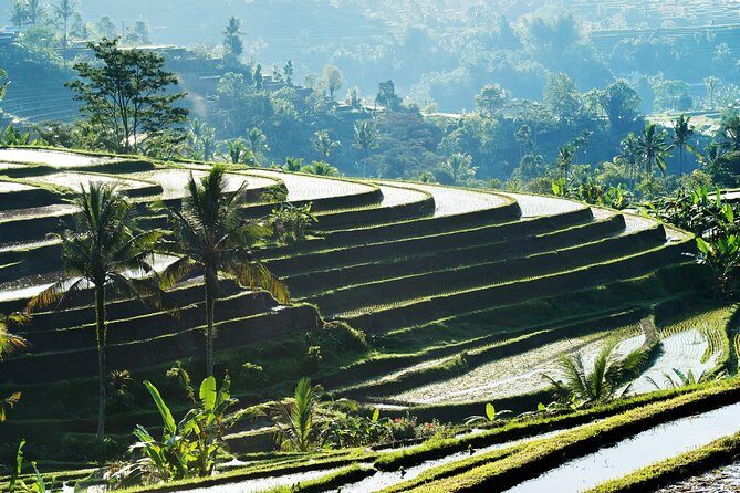 Full-Day Tour to Water Temples and UNESCO Rice Terraces in Bali - The Authentic Experience