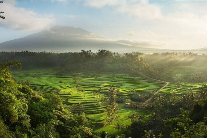 Full Day Tour to Water Temples UNESCO Rice Terraces in Bali - Practical Details & What to Expect
