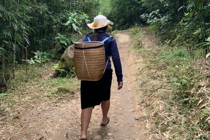Full Day Trekking in Sapa - Practical Details and What to Expect