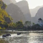 Full Day Trip to Discover Ninh Binh  Hoa Lu  Tam Coc From Ha Noi - What Travelers Can Expect