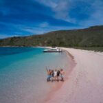 Full Day Trip to Explore 6 Destinations in Labuan Bajo and Komodo - The Experience: Pros and Cons