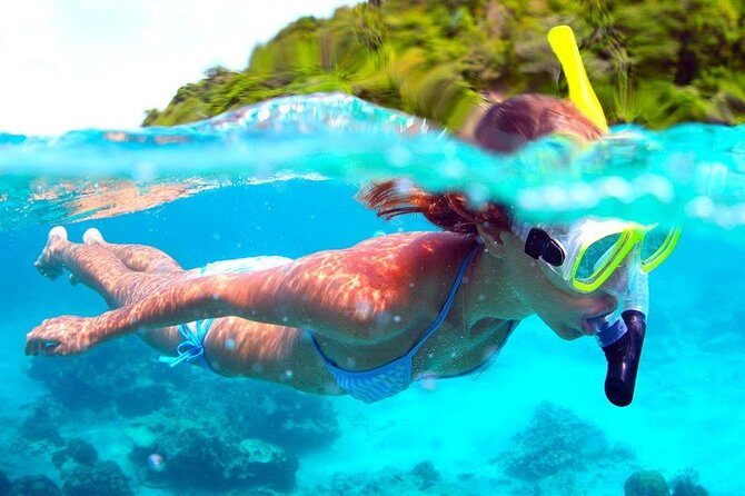 Full-Day Trip to Koh Tao and Koh Nang Yuan from Koh Samui by Speedboat - Practical Details: Transport, Cost, and Group Size