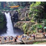 Full day Ubud and Tanah Lot tour - Practical Details and What to Expect