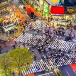 Full Day Walking Tour in Shinjuku and Shibuya - What’s Included and What’s Not