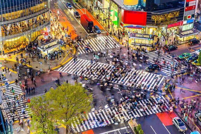 Full Day Walking Tour in Shinjuku and Shibuya - What’s Included and What’s Not