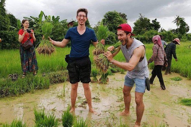 Full-day: Wat Banan. Old bamboo train. Bat Cave. Killing cave - Final Thoughts: Who Will Love This Tour?