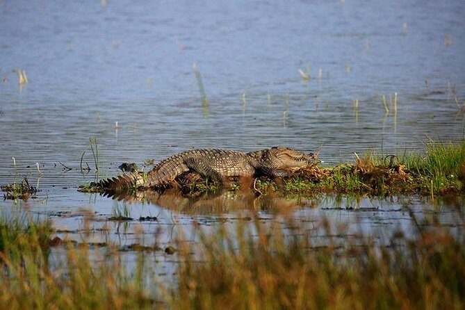 Full Day Wilpaththu National Park Safari (All Inclusive) - The Experience of the Guides and the Park