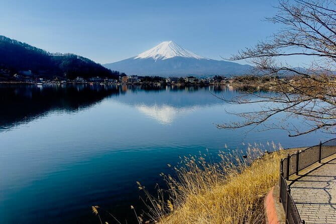 Full Guided Mt. Fuji & Hakone Attractive Private Day Tour - What Makes This Tour Stand Out?