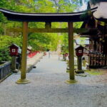 Full Guided Mt. Fuji & Shiba-Sakura Festival One Day Pvt.Tour - Pricing & Value Analysis