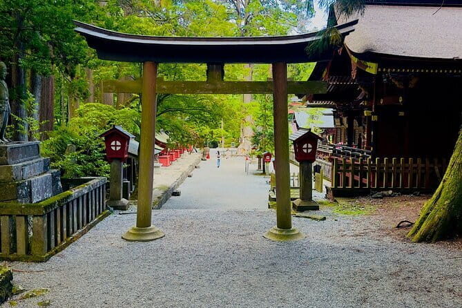 Full Guided Mt. Fuji & Shiba-Sakura Festival One Day Pvt.Tour - Pricing & Value Analysis