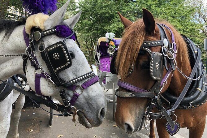 Full loop Private Horse Carriage Ride in Central Park 45 Minutes - Who Should Consider This Tour?