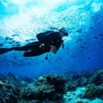 Fun Dives For Certified Divers - Who Is This Tour Best For?