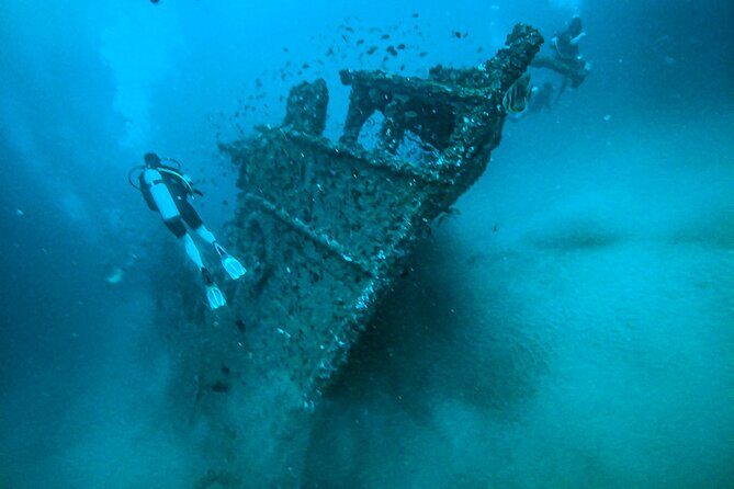 Fun Dives For Certified Divers - FAQ