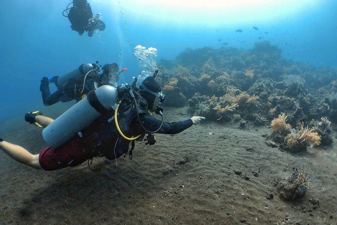 Fun Diving Tulamben Bali - For Certified Divers - The Experience from Reviews and Real Insights