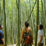 Fushimi Inari Hidden Hiking Tour - What to Expect During the Tour