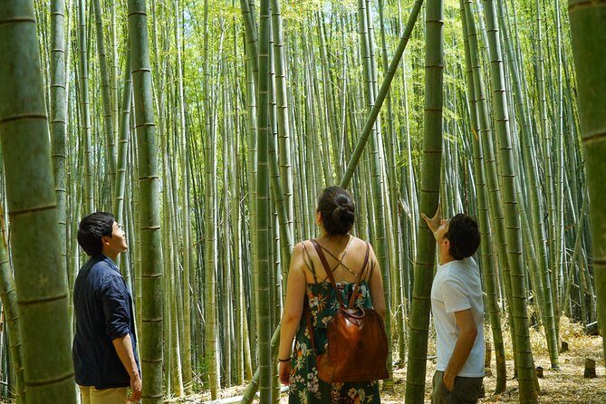 Fushimi Inari Hidden Hiking Tour - What to Expect During the Tour