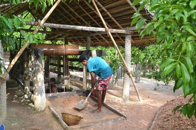 Galle Day Private Tour Beruwala/Bentota/Kosgoda/Ahungalla - A Deep Dive into the Galle Day Private Tour