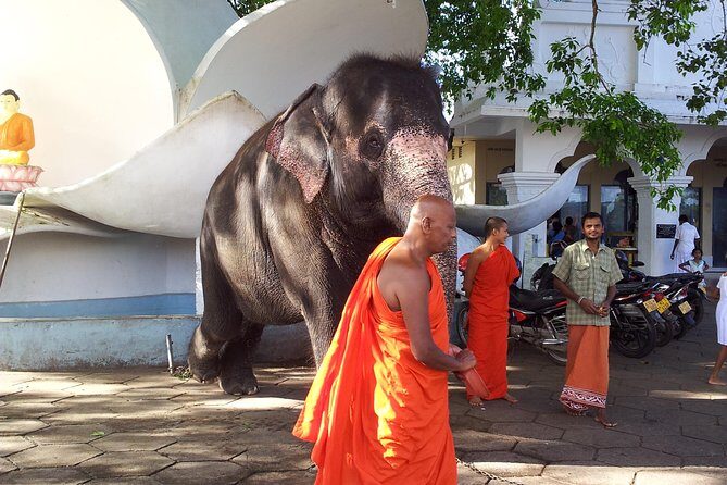 Galle Day Tour - Who Is This Tour Best For?