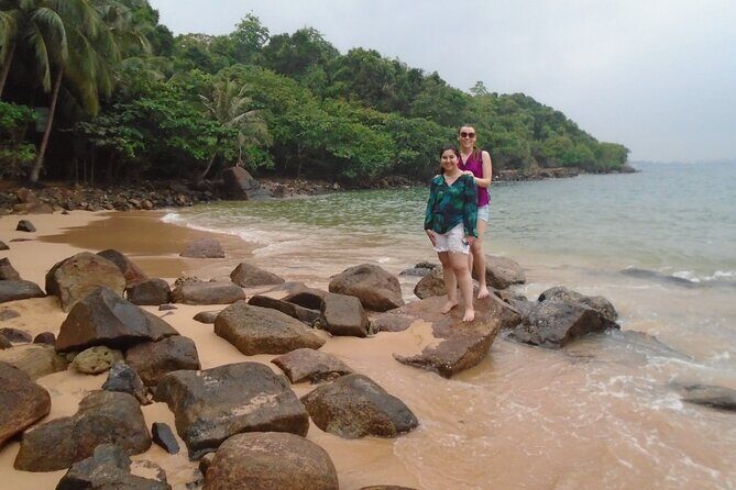 Galle Day Tour from Colombo/Negombo by Private Car or Van - Jungle Beach: Secluded Beauty Near Galle