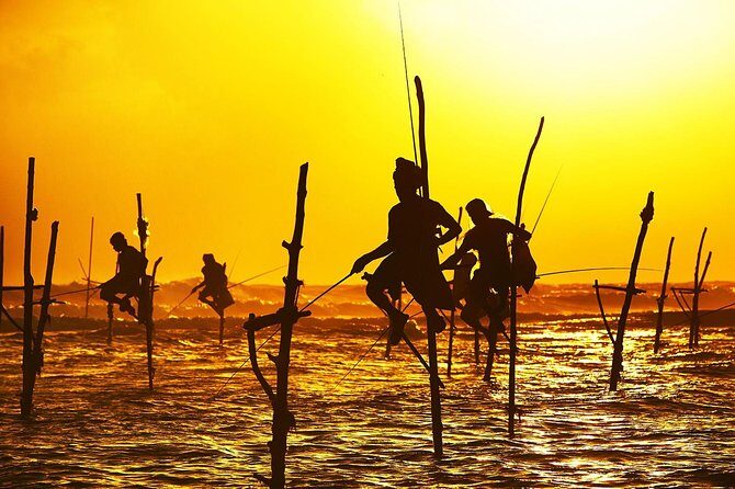 Galle Day Trip & Stilt Fishermen from Koggala - Who Will Love This Tour?