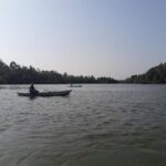 Galle Fort, Turtle, - Private Day Tour From Negombo or Colombo - Visiting Kosgoda Turtle Sanctuary: Conservation in Action