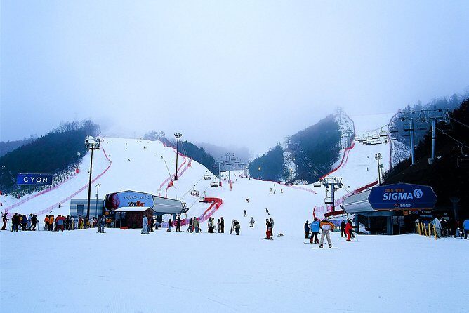 Gangchon Elysian Ski Day Trip from Seoul - Food and Rest Breaks