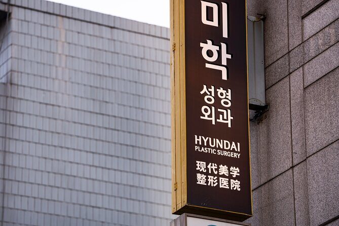 Gangnam Walking Tour on Youth and Society in Seoul Korea - Breaking Down the Itinerary