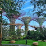 Gardens by the Bay Guided Tour - Practical Details and Tips